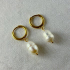 Neerja - Pearl Drop Earrings - 18k Gold PVD
